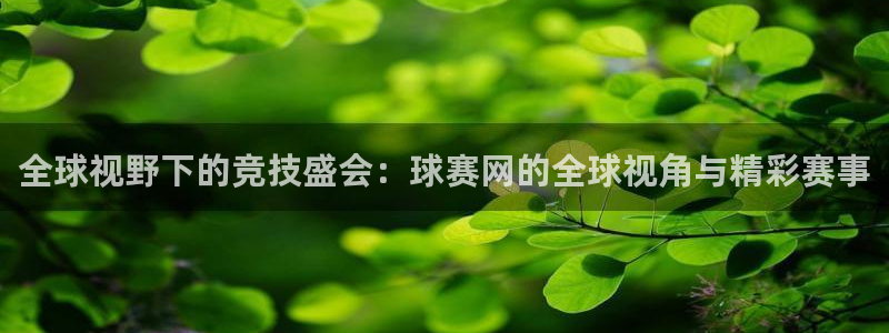 od体育平台官网