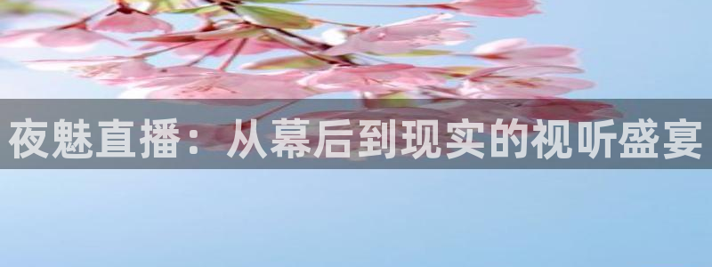 熊猫官网在线直播：夜魅直播：从幕后到现实的视听盛宴