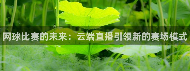 熊猫的：网球比赛的未来：云端直播引领新的赛场模式