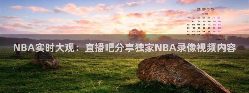 熊猫体育手机版下载：NBA实时大观：直播吧分享独家NBA录像视频内容