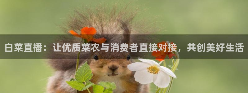熊猫户外直播：白菜直播：让优质菜农与消费者直接对接，共创美好生活