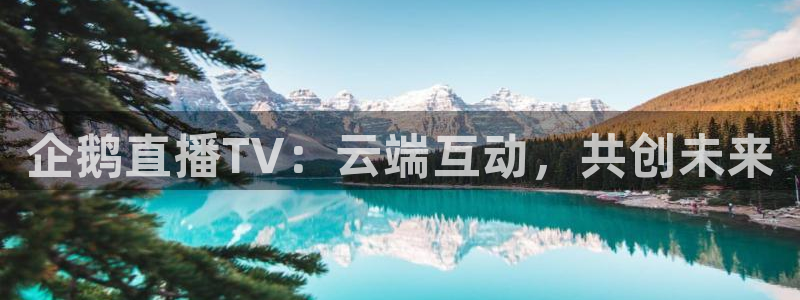 熊猫视频 直播：企鹅直播TV：云端互动，共创未来