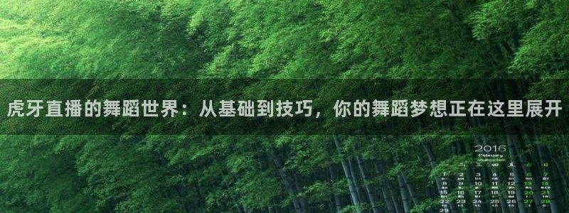 熊猫直播下载安装官方下载：虎牙直播的舞蹈世界：从基础到技巧，你的舞蹈梦想正在这里展开