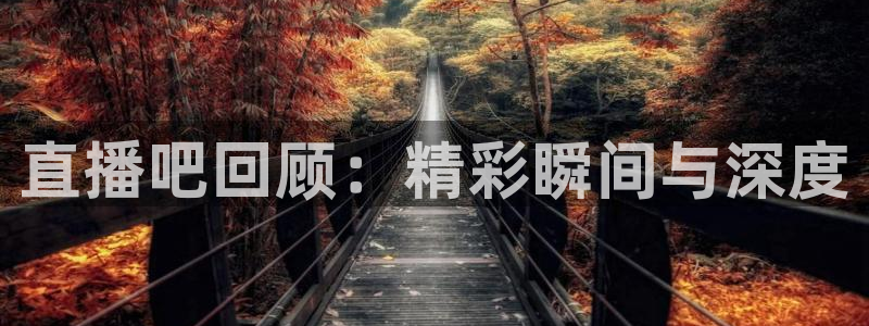 熊猫跳舞视频：直播吧回顾：精彩瞬间与深度