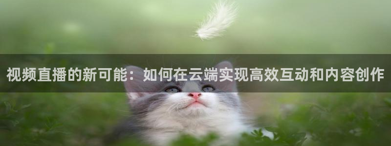 熊猫体育足球直播在线观看：视频直播的新可能：如何在云端实现高效互动和内容创作