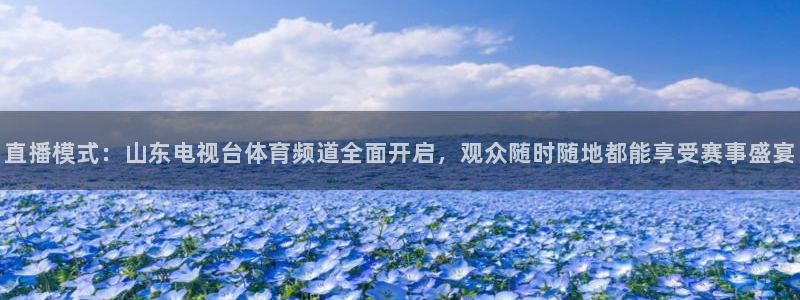 熊猫体育直播体验升级版.苹果进.org：直播模式：山东电视台体育频道全面开启，观众随时随地都能享受赛事盛宴