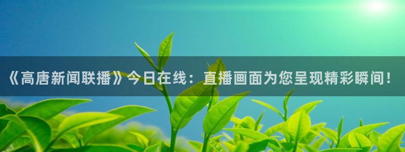 熊猫体育直播nba：《高唐新闻联播》今日在线：直播画面为您呈现精彩瞬间！