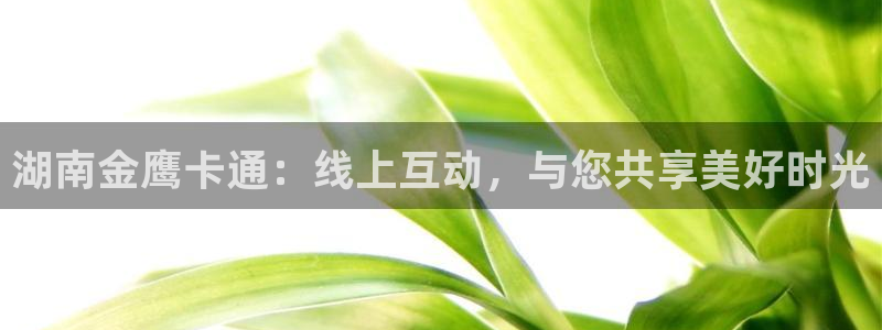 熊猫体育官网：湖南金鹰卡通：线上互动，与您共享美好时光