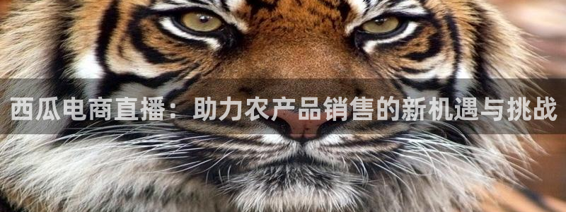 熊猫体育足球直播app：西瓜电商直播：助力农产品销售的新机遇与挑战