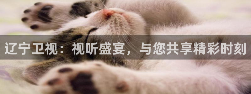 熊猫体育下载免费看球赛直播：辽宁卫视：视听盛宴，与您共享精彩时刻