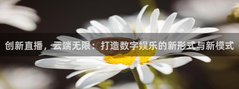 熊猫直播下载免费安装：创新直播，云端无限：打造数字娱乐的新形式与新模式